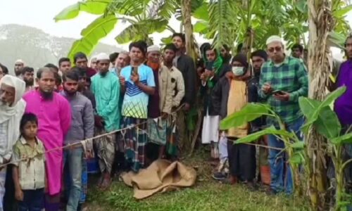 ঘরে অপেক্ষায় নববধূ, সকালে মরিচক্ষেতে মিলল স্বামীর লাশ